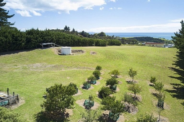 Photo of property in 64 Cable Bay Block Road, Cable Bay, 0420