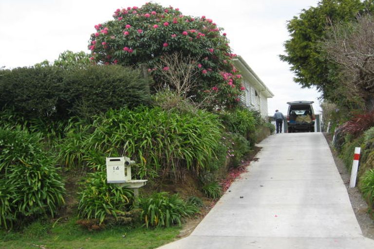 Photo of property in 14 Graham Street, Levin, 5510