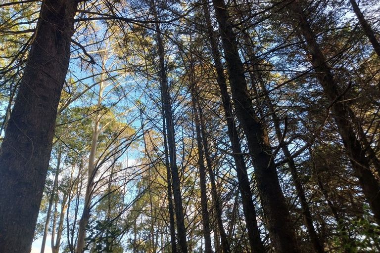 Photo of property in 99 Paranui Road, Taipa, Kaitaia, 0483