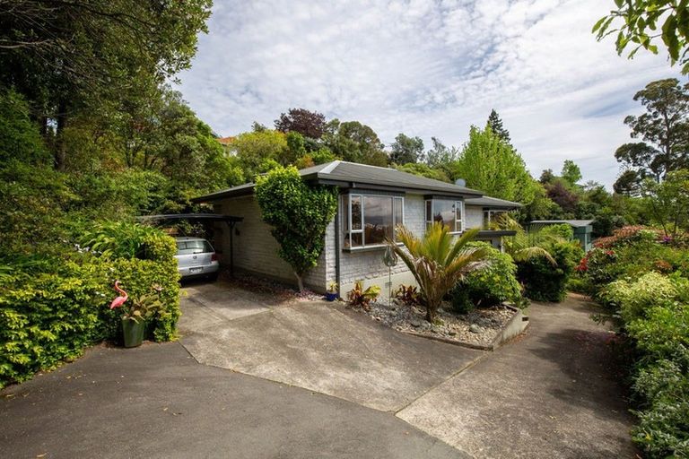 Photo of property in 190 Quebec Road, Washington Valley, Nelson, 7010