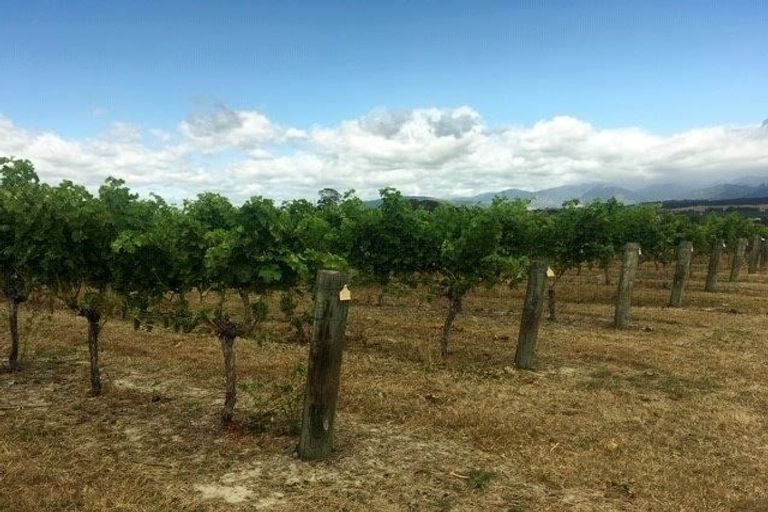 Photo of property in 66 Flett Road, Lower Moutere, Upper Moutere, 7175