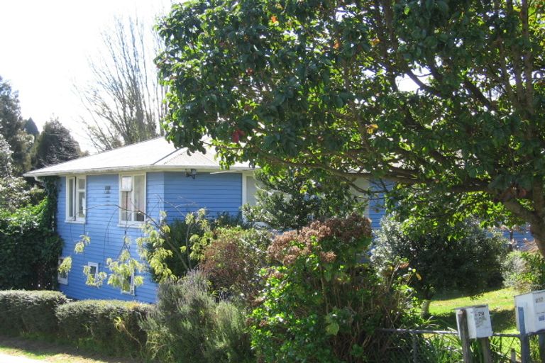 Photo of property in 217 Fraser Street, Tauranga South, Tauranga, 3112