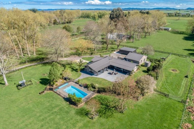 Photo of property in 347 Vaile Road, Newstead, Hamilton, 3286