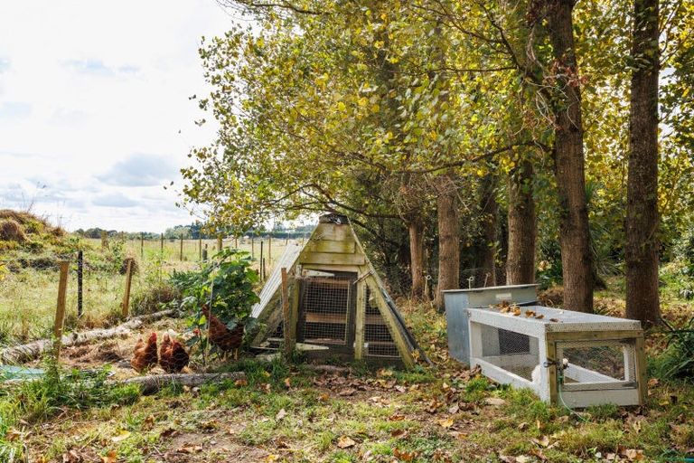 Photo of property in 23 Eyre Road, Linton, Palmerston North, 4472