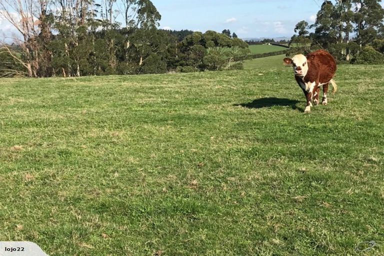 Photo of property in 101a Logan Road, Pukekawa, Tuakau, 2696