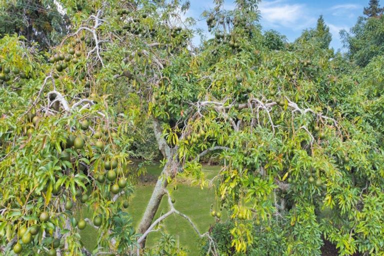 Photo of property in 92 Paparoa Road, Wainui, Opotiki, 3198