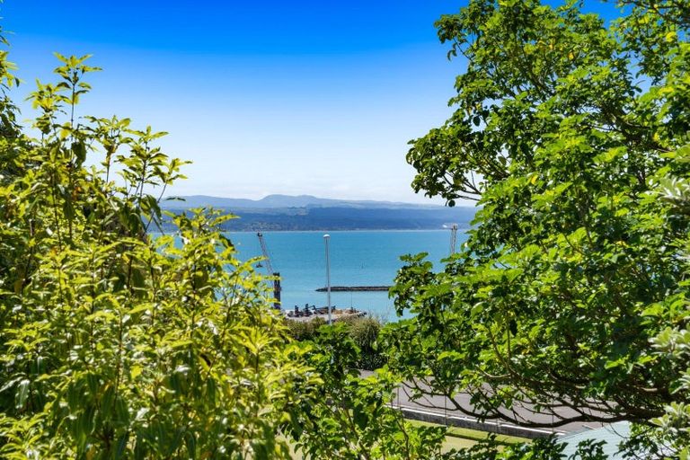 Photo of property in 34a Lighthouse Road, Bluff Hill, Napier, 4110