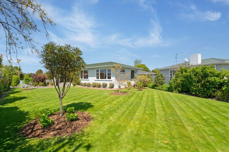 Photo of property in 43 Fergusson Street, Solway, Masterton, 5810