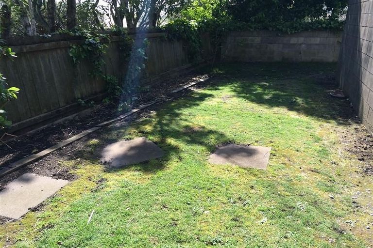 Photo of property in 14 Counsel Terrace, Mount Albert, Auckland, 1025
