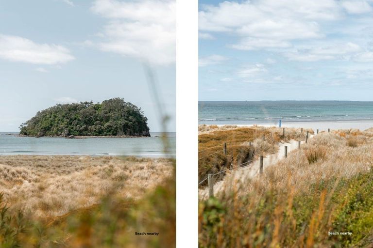 Photo of property in 39 May Street, Mount Maunganui, 3116