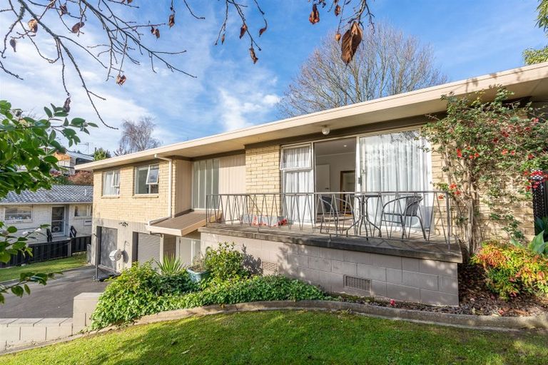 Photo of property in 66 Hazelwood Avenue, Dinsdale, Hamilton, 3204