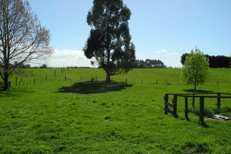 Photo of property in 128 Maytown Road, Waimate, 7978