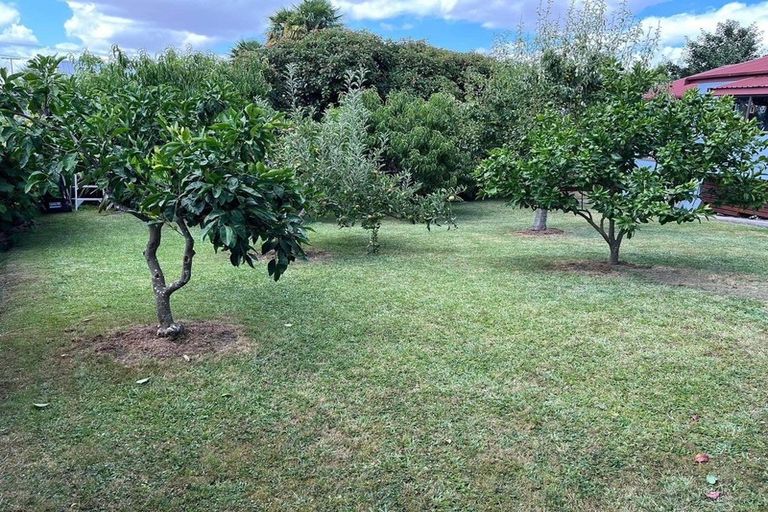 Photo of property in 81 Young Street, Morrinsville, 3300