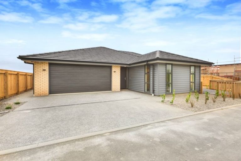 Photo of property in 169 John Burke Drive, Aotea, Porirua, 5024