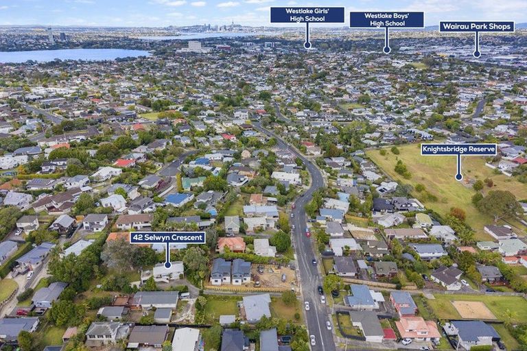 Photo of property in 42 Selwyn Crescent, Forrest Hill, Auckland, 0620