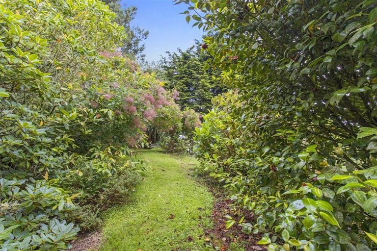 Photo of property in 488 Tapuwae Road, Maniaiti / Benneydale, Te Kuiti, 3987