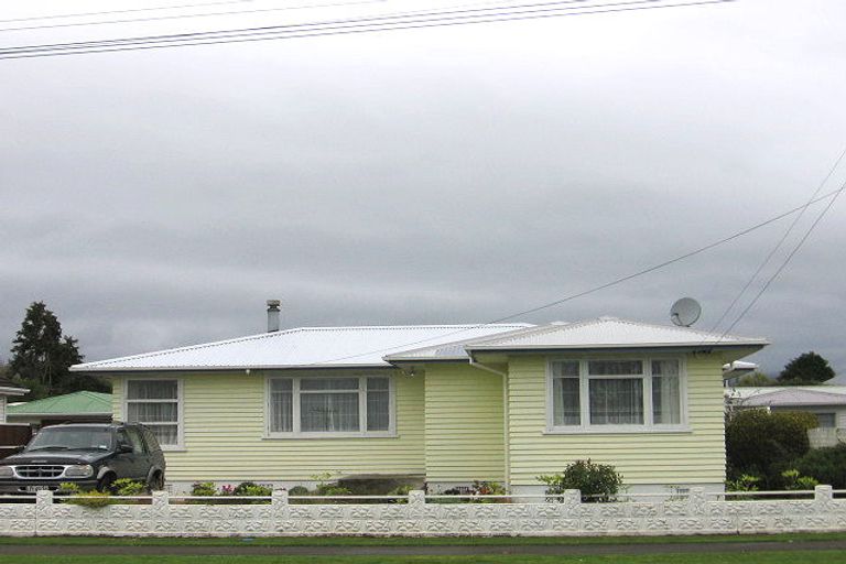 Photo of property in 29 Mabel Street, Levin, 5510