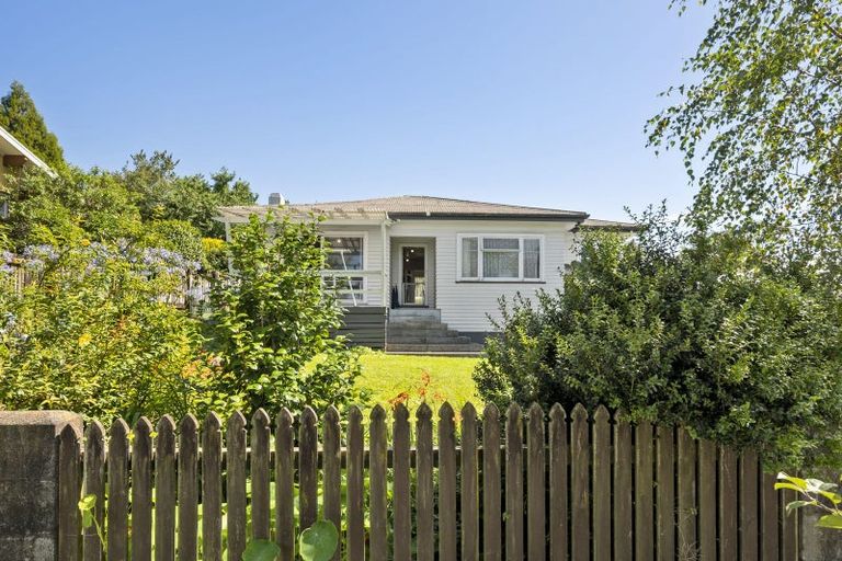 Photo of property in 109 Arapuni Street, Putaruru, 3411