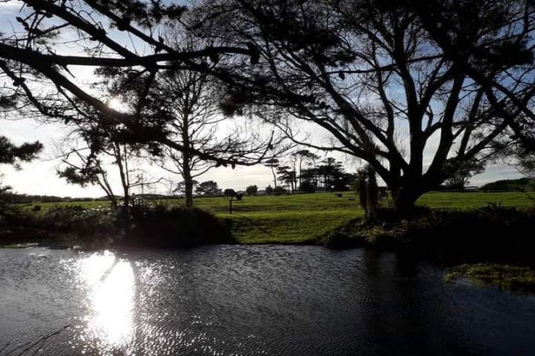 Photo of property in 160 Upper Kina Road, Oaonui, Opunake, 4681