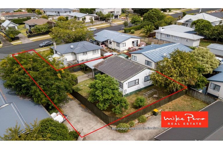 Photo of property in 85a Princes Street, Pukekohe, 2120