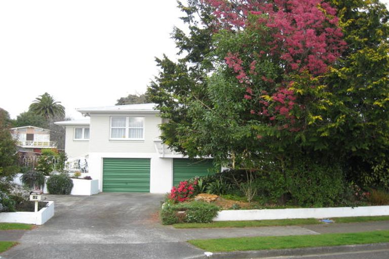 Photo of property in 10 Stuart Street, Levin, 5510