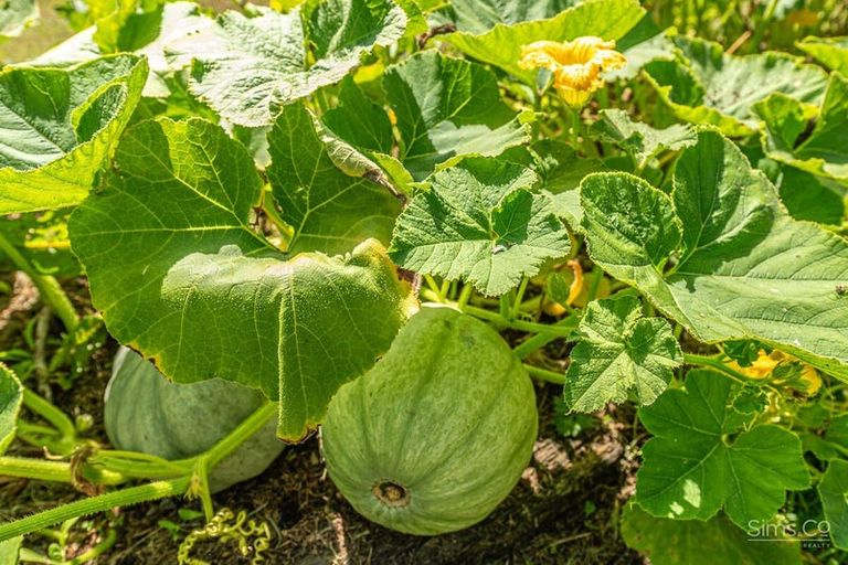 Photo of property in 26 Selwyn Crescent, College Estate, Whanganui, 4500