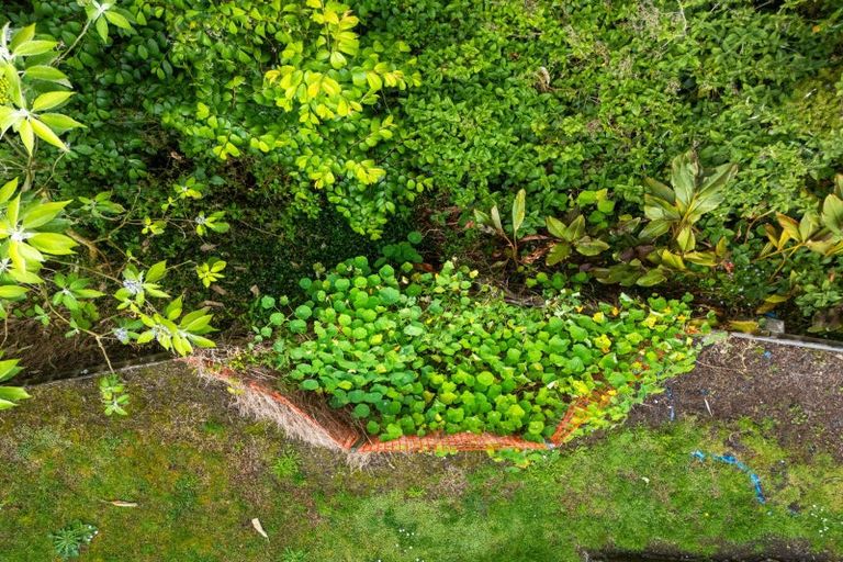 Photo of property in 72 Ross Street, Onerahi, Whangarei, 0110