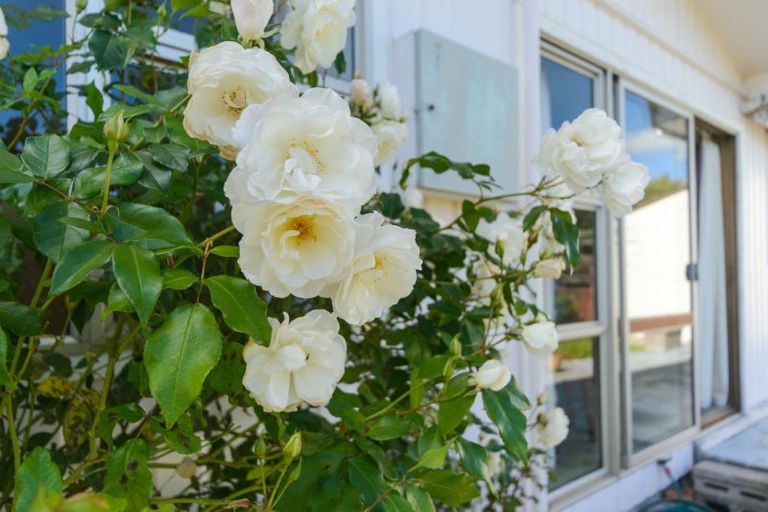 Photo of property in 78 Awahuri Road, Feilding, 4702