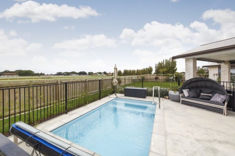 Photo of property in 40 Totara Road, Awapuni, Palmerston North, 4412