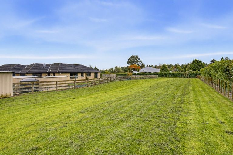 Photo of property in 53 Pohutukawa Drive, Levin, 5571
