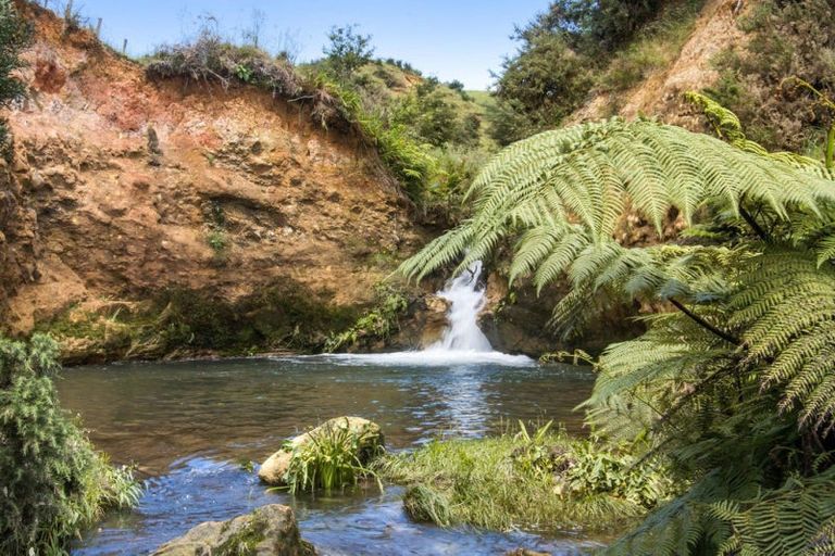 Photo of property in 135 Willoughby Road, Tahawai, Katikati, 3170