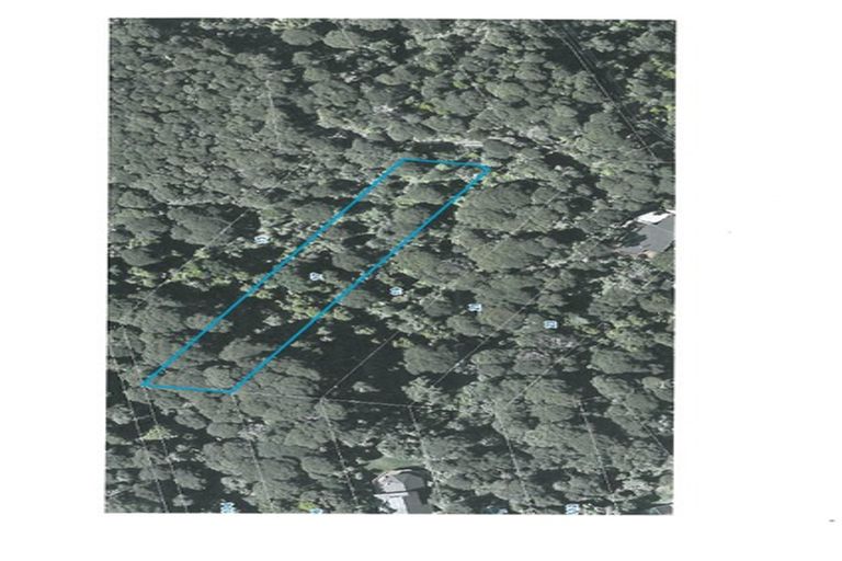 Photo of property in 19 Hayes Road, Henderson Valley, Auckland, 0612