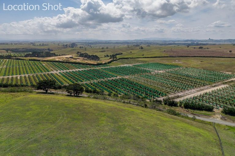 Photo of property in 588 Turkey Flat Road, Te Kopuru, Dargaville, 0371