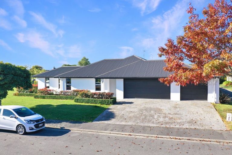 Photo of property in 3 Ludlow Drive, Huntingdon, Ashburton, 7774