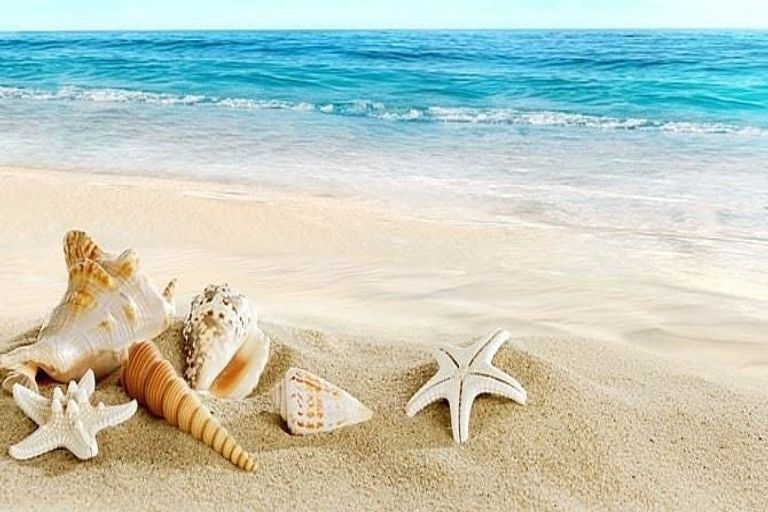 Photo of property in 1b/25 Maclean Street, Paraparaumu Beach, Paraparaumu, 5032