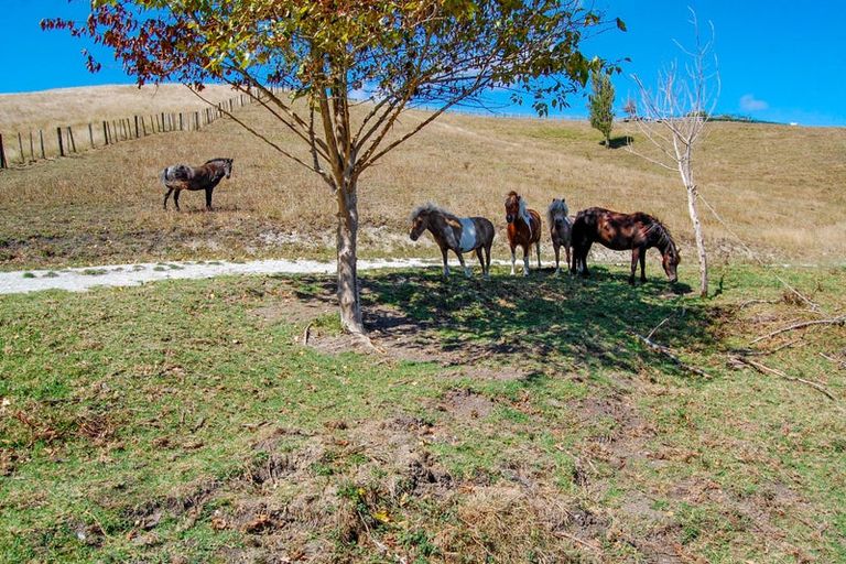 Photo of property in 1470 Oneriri Road, Kaiwaka, 0573