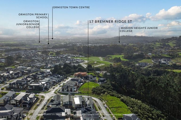 Photo of property in 17 Bremner Ridge Street, Flat Bush, Auckland, 2019
