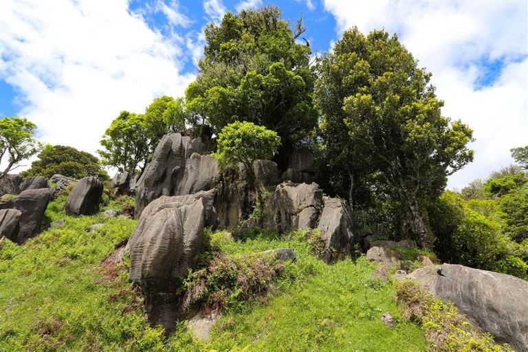 Photo of property in 3226 Hauturu Road, Waitomo, Te Kuiti, 3988