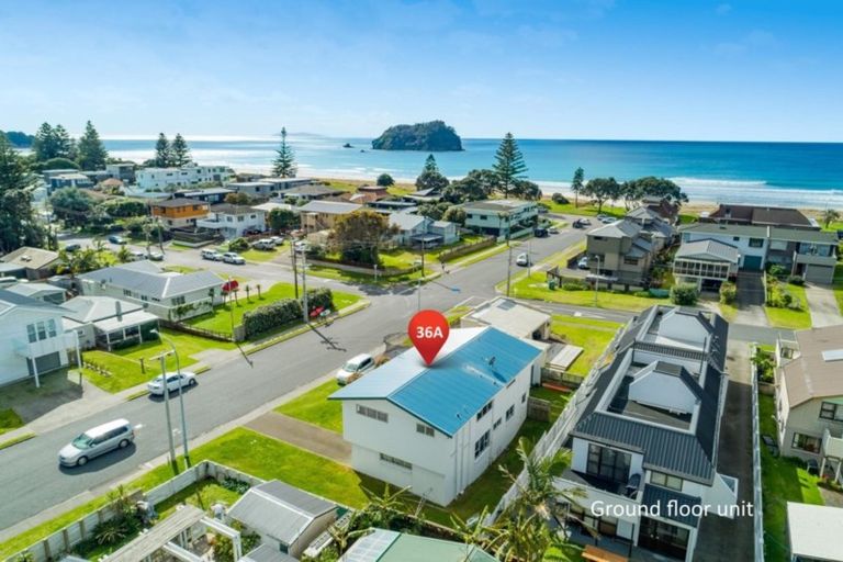 Photo of property in 36a Grove Avenue, Mount Maunganui, 3116