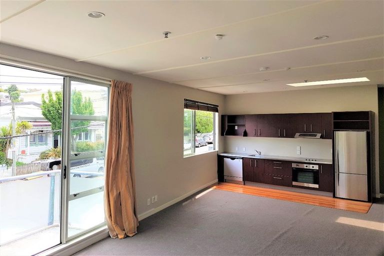 Photo of property in 203 Tasman Street, Mount Cook, Wellington, 6021