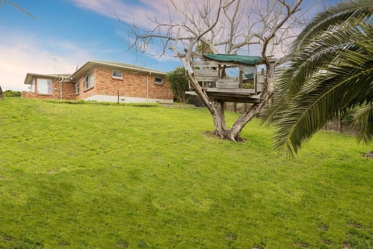 Photo of property in 46 Orkney Road, Mount Maunganui, 3116