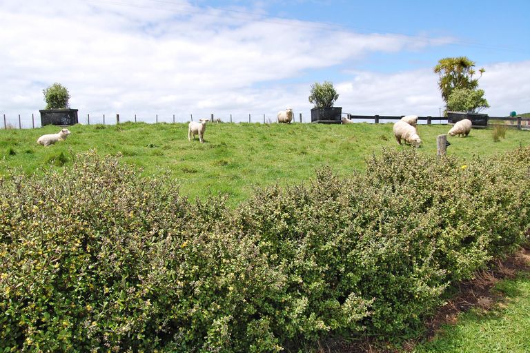 Photo of property in 924 Oneriri Road, Kaiwaka, 0573