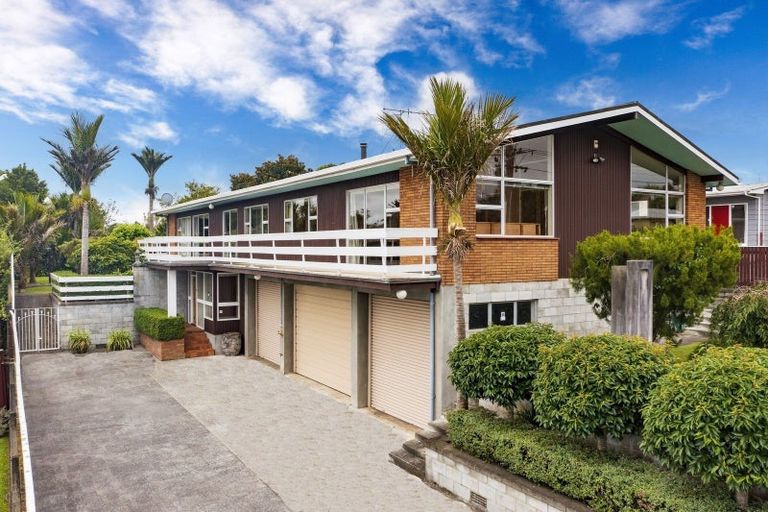 Photo of property in 239 Cambridge Street, Levin, 5510