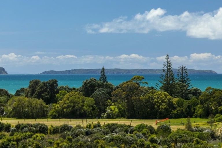 Photo of property in 45 Bounty Road, Long Bay, Auckland, 0630