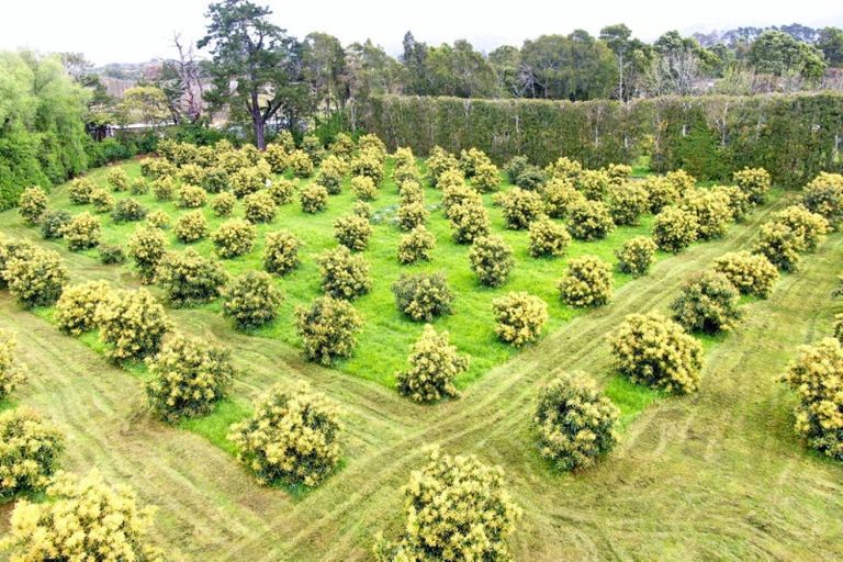 Photo of property in 117 Rea Road, Tahawai, Katikati, 3178