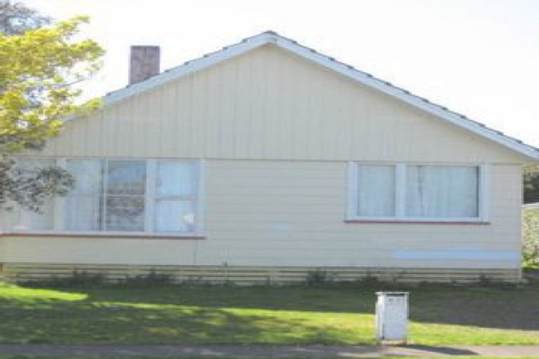 Photo of property in 43 Hinemoa Street, Levin, 5510