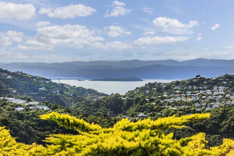 Photo of property in 58 Winston Street, Crofton Downs, Wellington, 6035