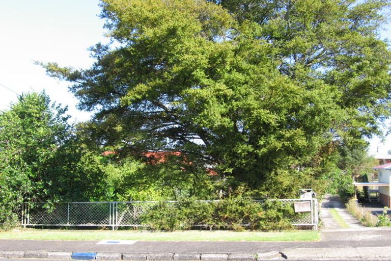 Photo of property in 25 Tane Street, New Lynn, Auckland, 0600