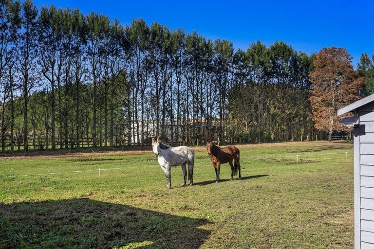 Photo of property in 24 Willow Lane, Edgecumbe, Whakatane, 3192