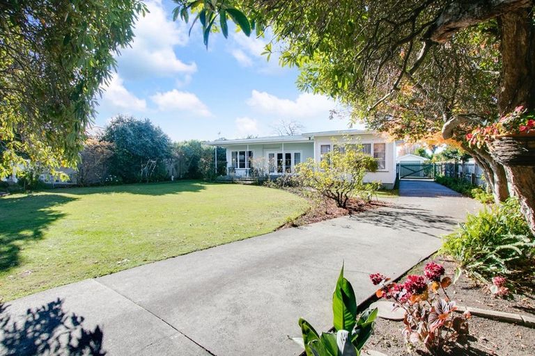 Photo of property in 805 Duke Street, Mahora, Hastings, 4120